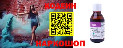 индика Можга