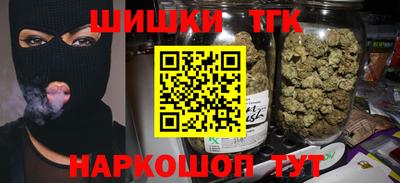 индика Можга
