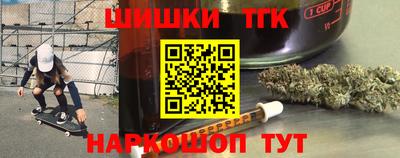 индика Можга