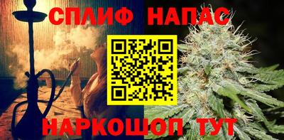 мдпв Моздок