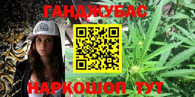индика Можга