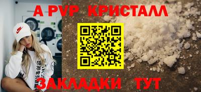 индика Можга