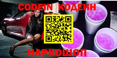 индика Можга