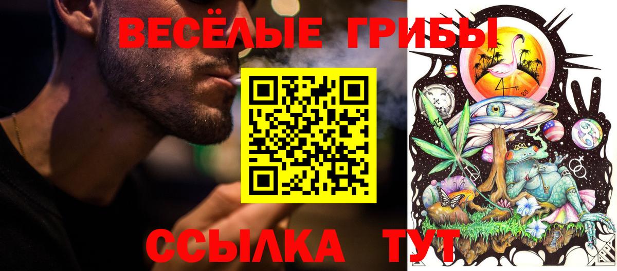 Бугуруслан  Галлюциногенные грибы прущие грибы  Вход с VPN 